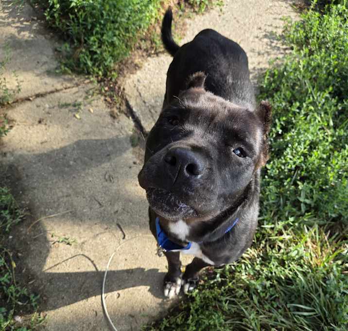 Photo of Flint