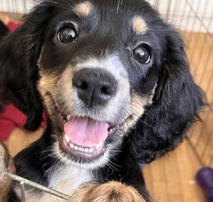 Photo of Bruce aka Burt