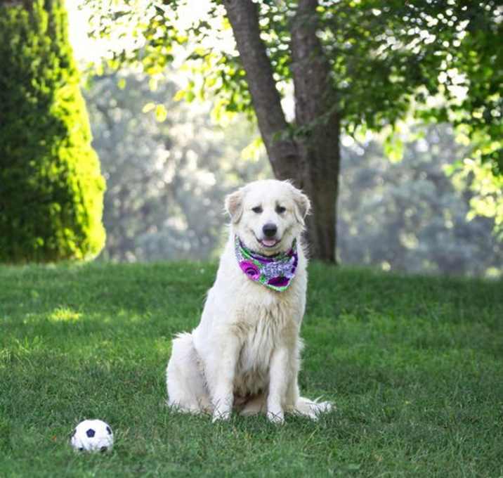 Photo of Maisy