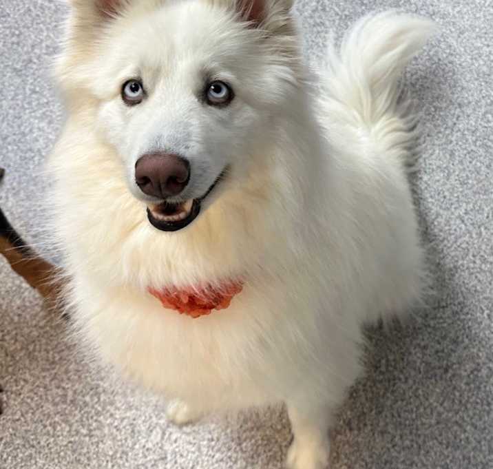 Photo of Ella
