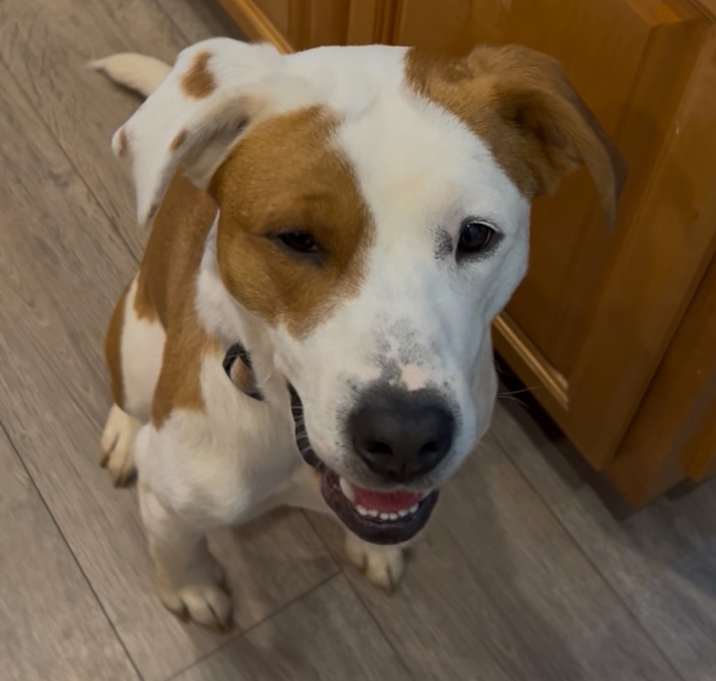 Photo of Fiona