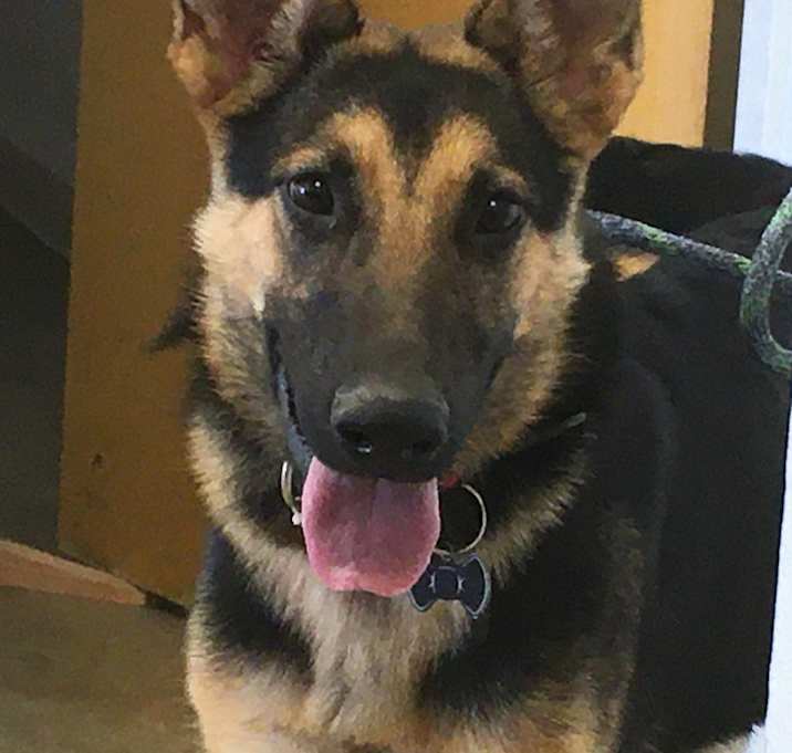 Photo of Nix