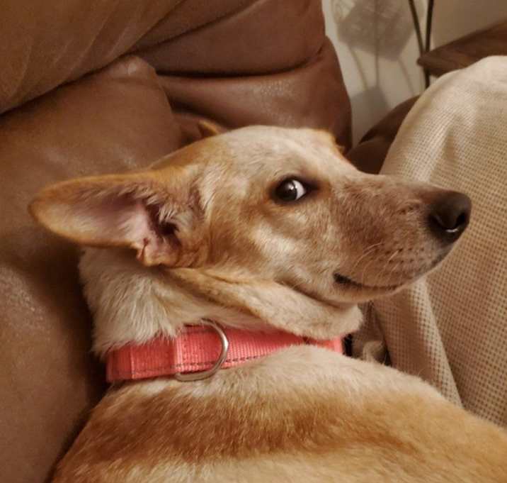 Photo of Marcy