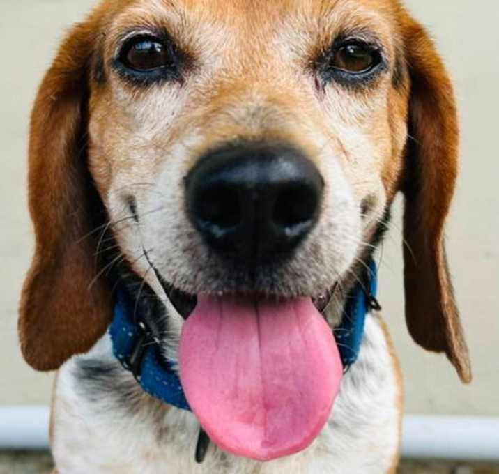 Photo of Sully