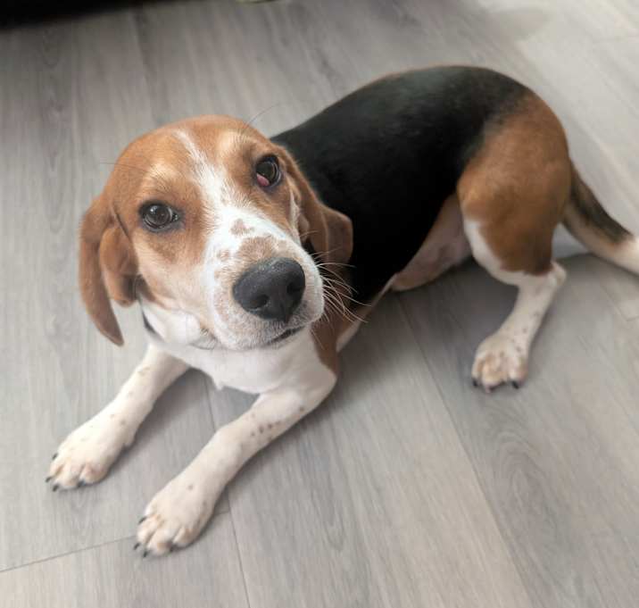 Photo of Copper