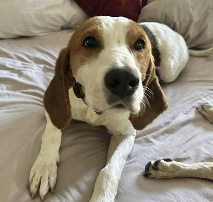 Photo of Vinny