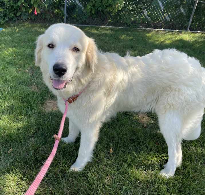 Photo of Sophie