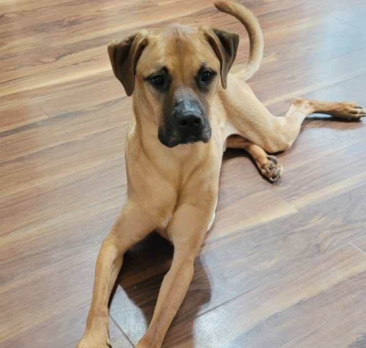 Photo of Milo