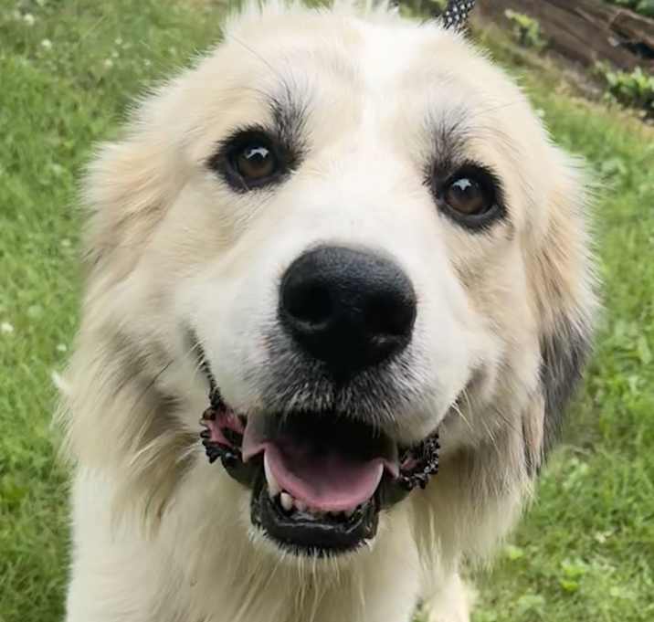 Photo of GP Fiona Fluff