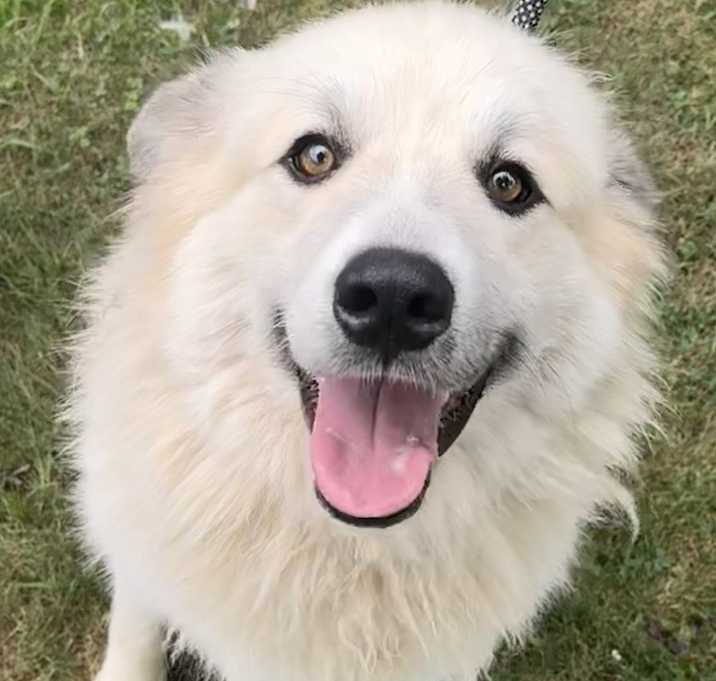 Photo of GP Felicity Fluff