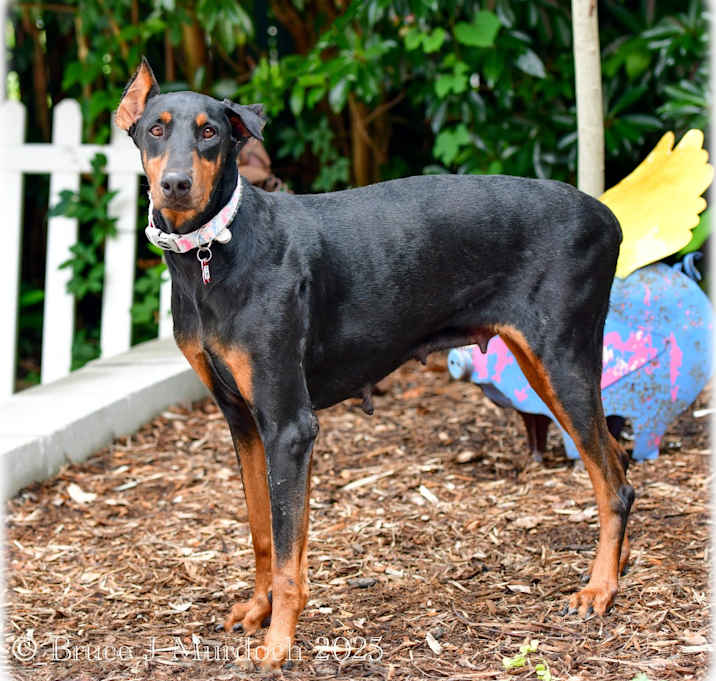 Photo of Buffy