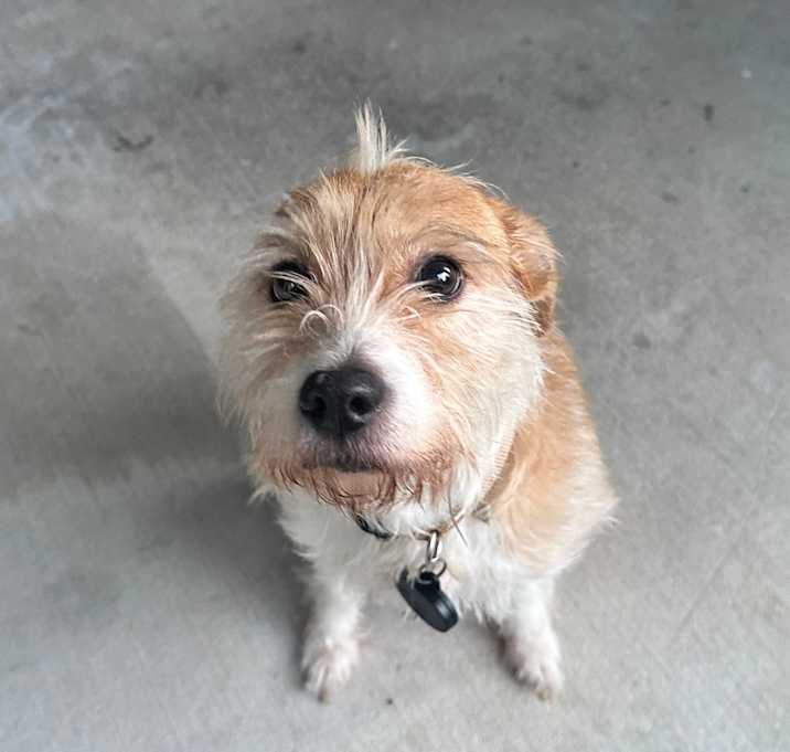 Photo of Harley