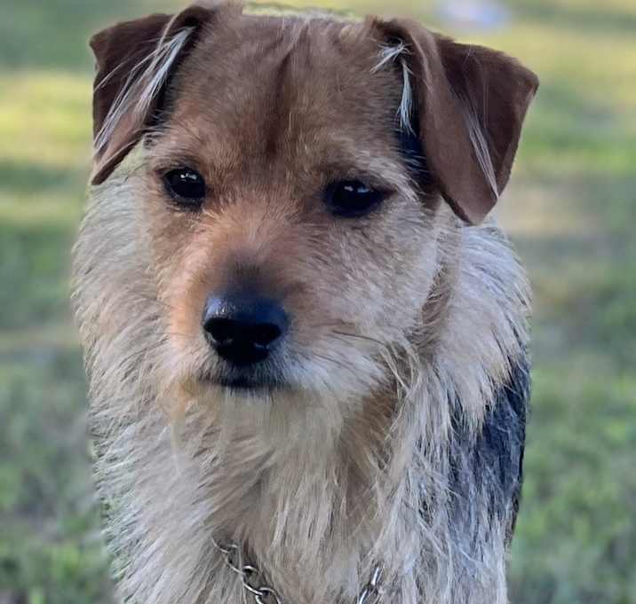 Photo of Caeser