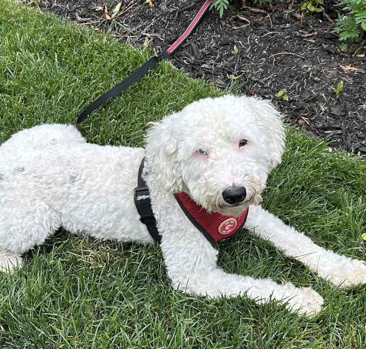 Photo of Jazz