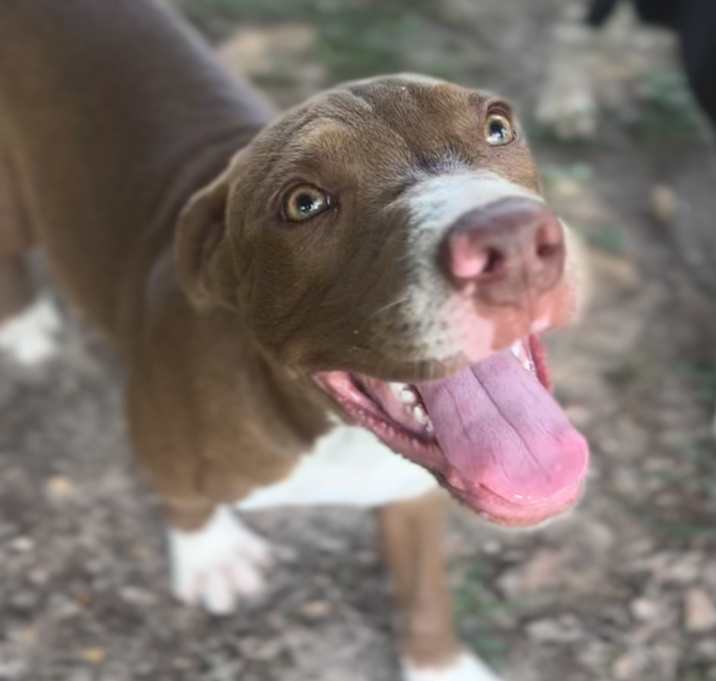 Photo of Dilly 