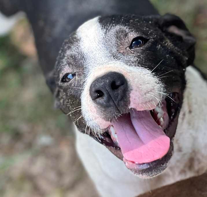 Photo of Billy 