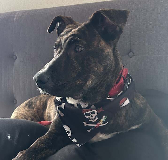 Photo of Paco