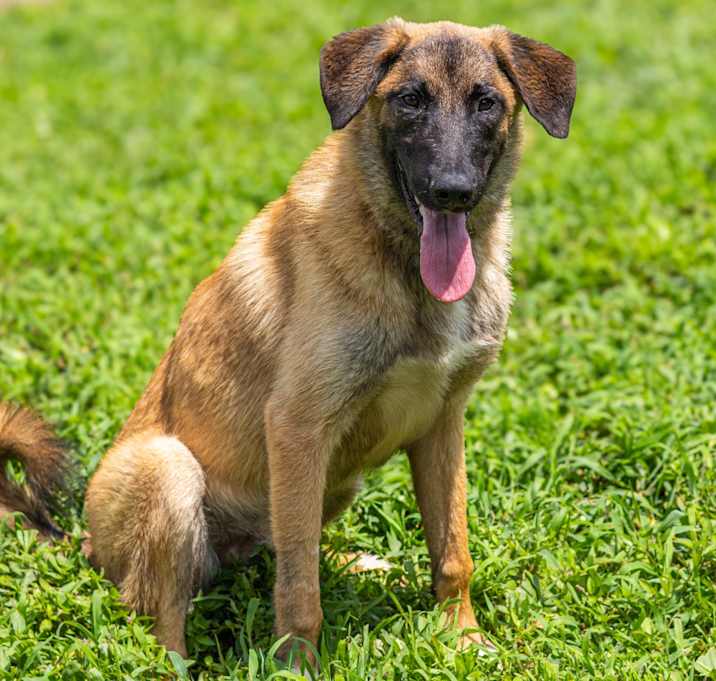 Photo of Polo