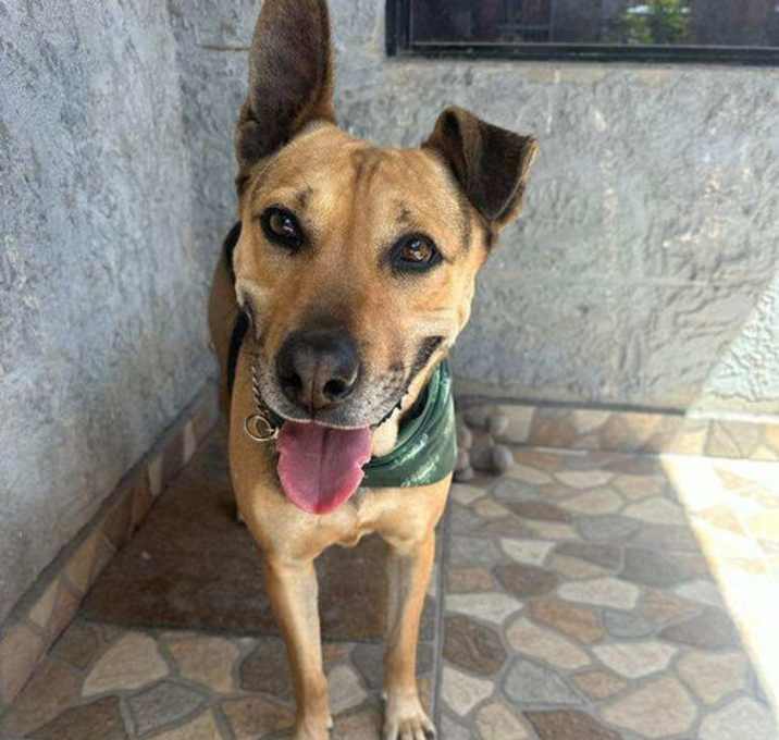 Photo of Charro