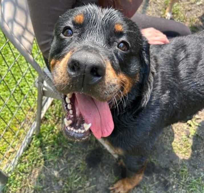 Photo of Lenny