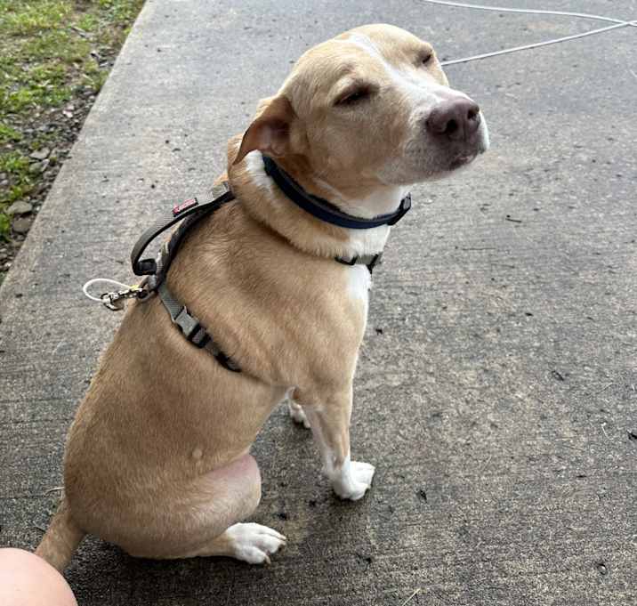 Photo of Sammie