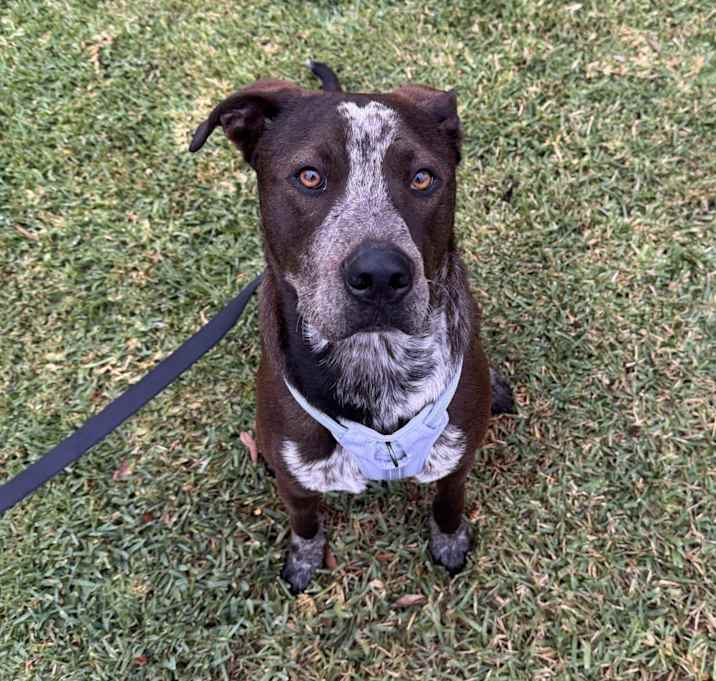 Photo of Churro