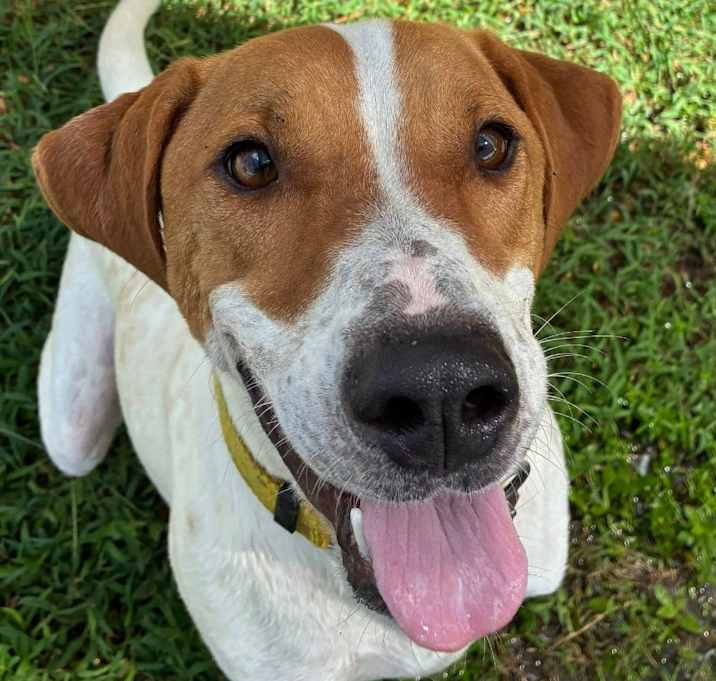 Photo of Gus