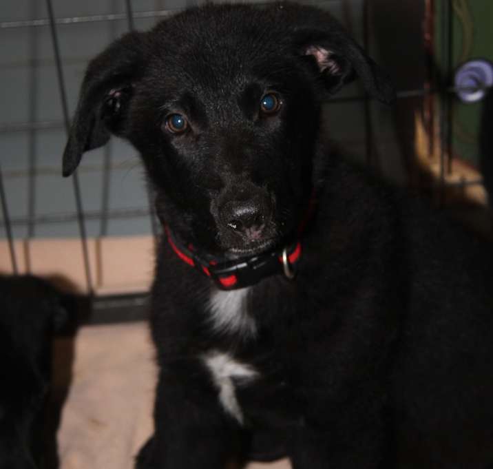 Photo of Tony Stark (Photos 7/11/2025)