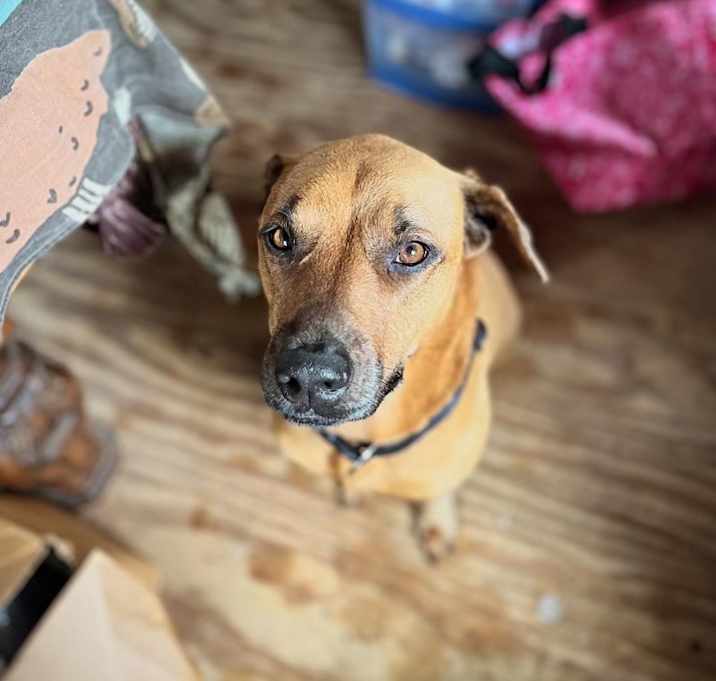 Photo of Maggie