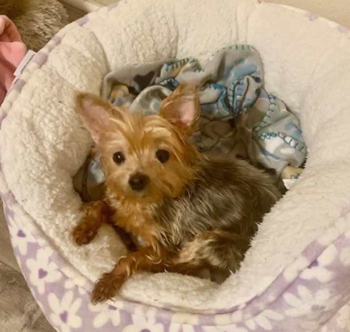 Photo of Lexi