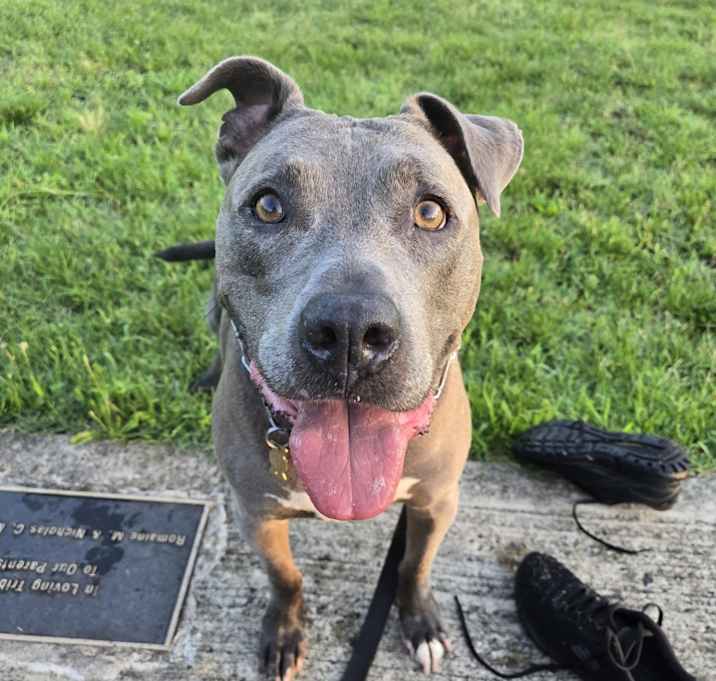 Photo of Blue
