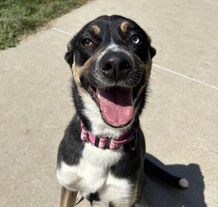Photo of Missy