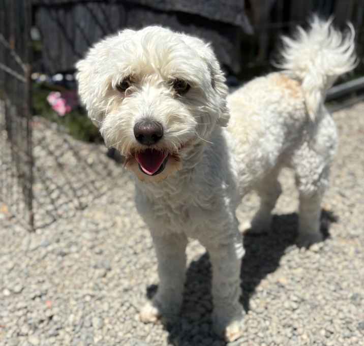 Photo of Bob