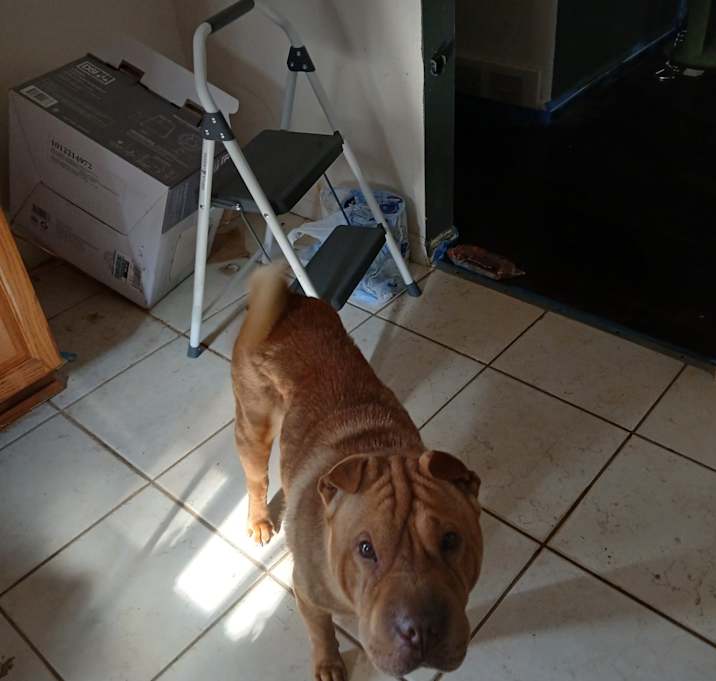 Photo of TEDDY