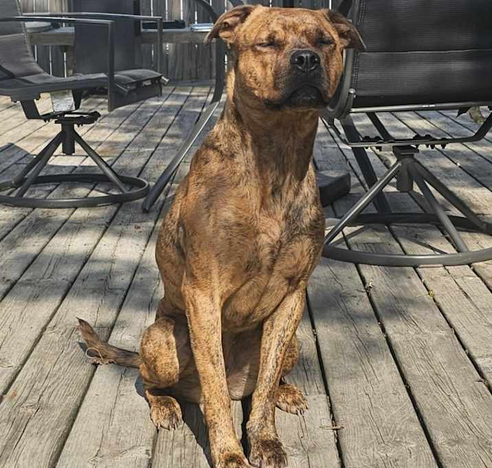 Photo of Kona