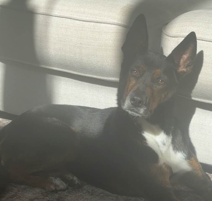 Photo of Melo