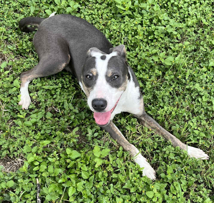 Photo of Lola