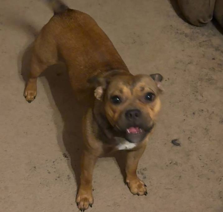 Photo of Baby Girl
