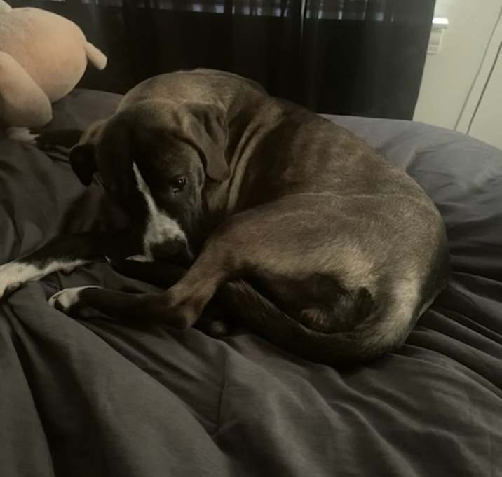 Photo of Remi