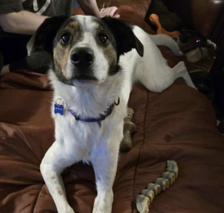Photo of Missy