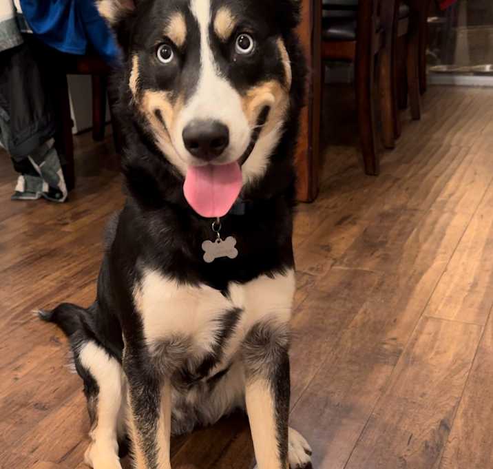 Photo of Zeus