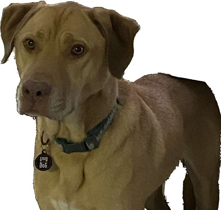 Photo of Pluto