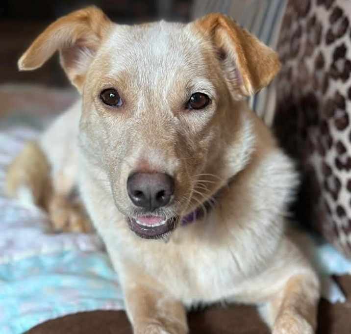 Photo of Nila