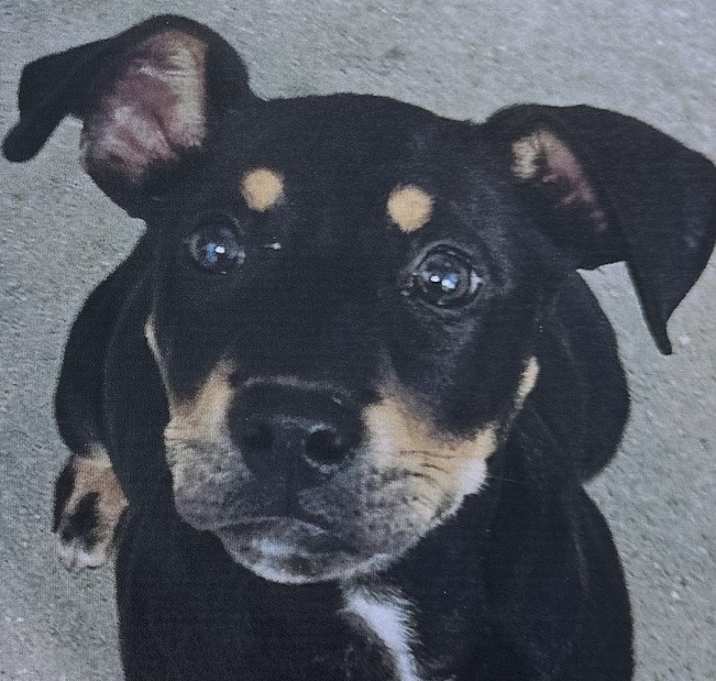 Photo of Lotto