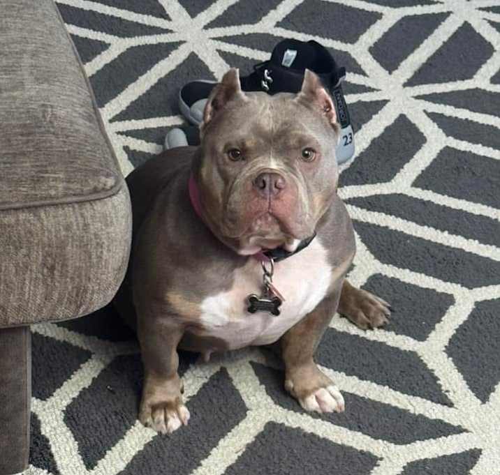 Photo of Diamond