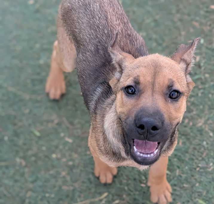 Photo of Charismatic