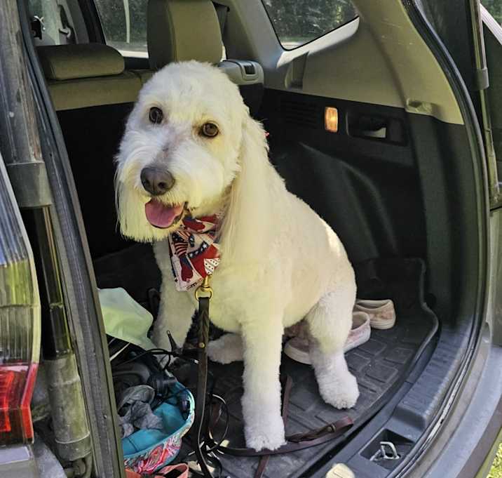 Photo of Molly