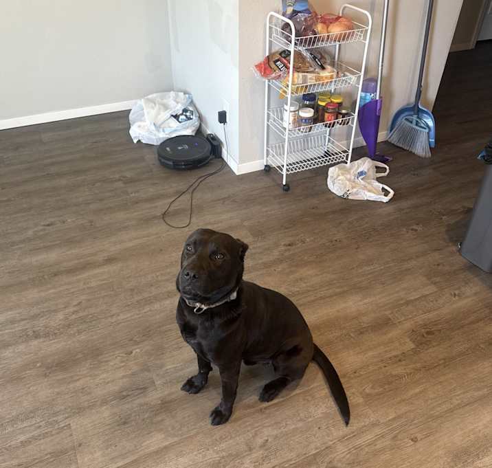 Photo of Bruce