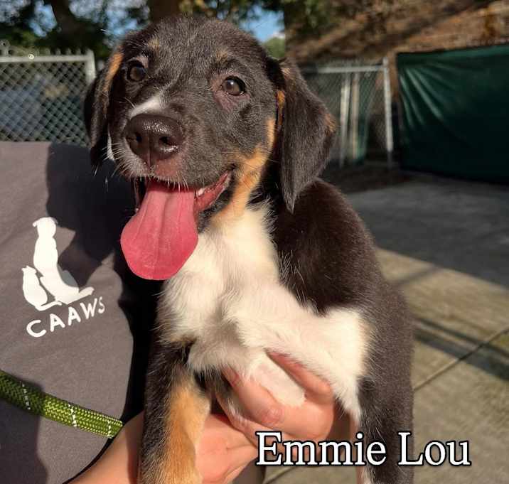 Photo of Emmie