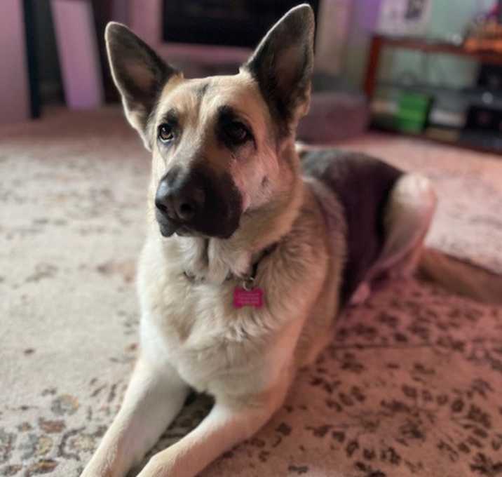 Photo of Bella